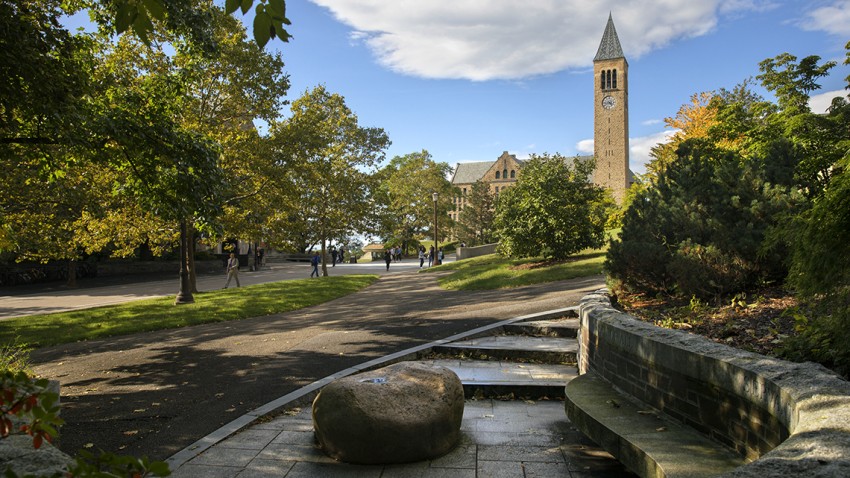 Cornell CAT awards support seven new biotechnology partnerships