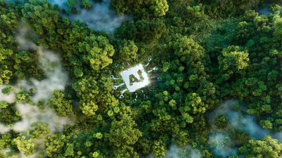 An overhead photo of a forest with AI added to the center of the image.