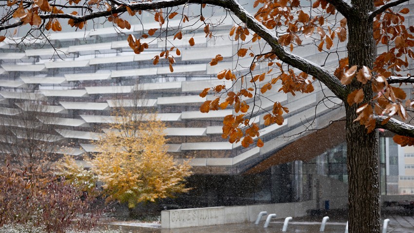 $10M gift to Cornell Bowers supports AI advancement