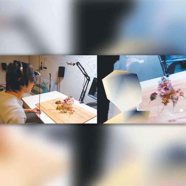 Screenshot of video conference