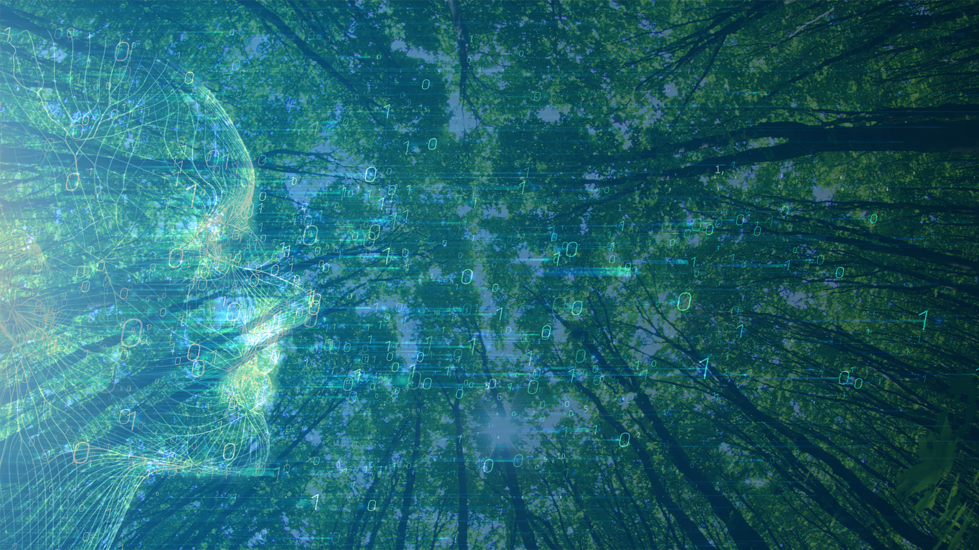 A color graphic showing the concept of AI sustainability