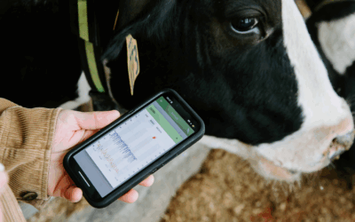 Cornell awarded NSF grant to build AI-ready living lab for agriculture