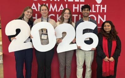 Hackathon winners combat ear infections, parasites and animal overpopulation