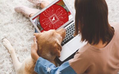Cornell Richard P. Riney Canine Health Center launches Big Red Bark Chat