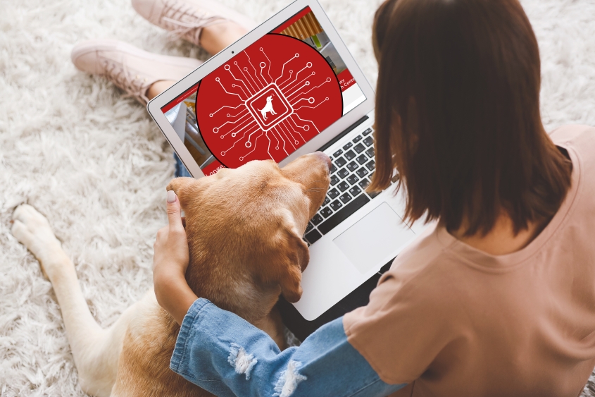A color photo showing a person and a dog looking at a laptop screen