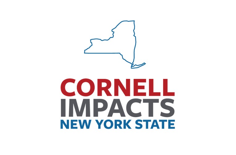 Outline of NYS with Cornell Impacts New York State