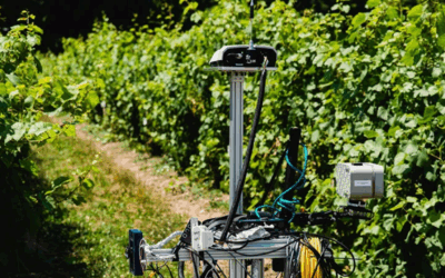 Cornell Institute for Digital Agriculture powers 15 innovative new projects