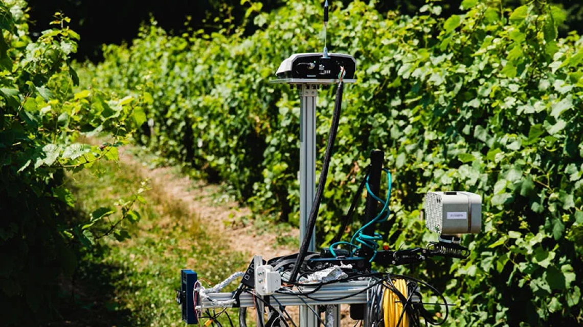A color photo of a robotic device working in agriculture
