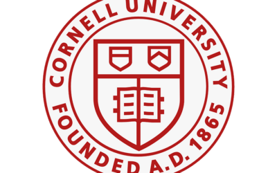 Google, Cornell to partner in online security initiative