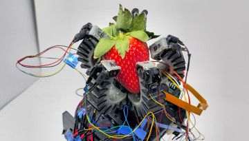 Robot arm holding a strawberry