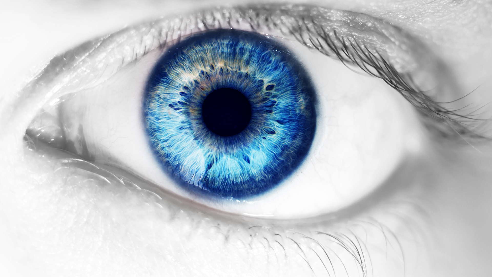 human eye, macro, close up blue