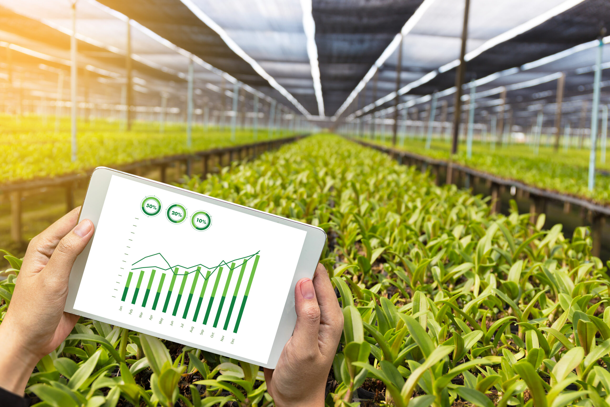 AI boosts indoor food production’s energy sustainability