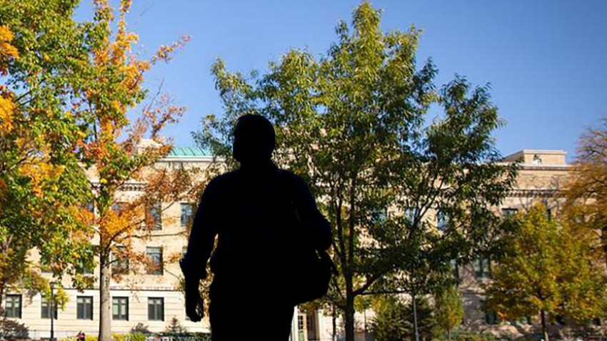Laying the Groundwork for AI at CALS