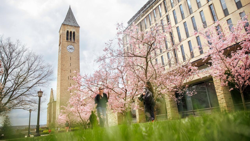 Toyota Research Institute, Cornell partner on AI projects